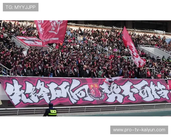 球迷文化:赛场应援创意视频走红社交平台,球迷交流app 球迷文化:赛场应援创意视频走红社交平台,球迷交流app