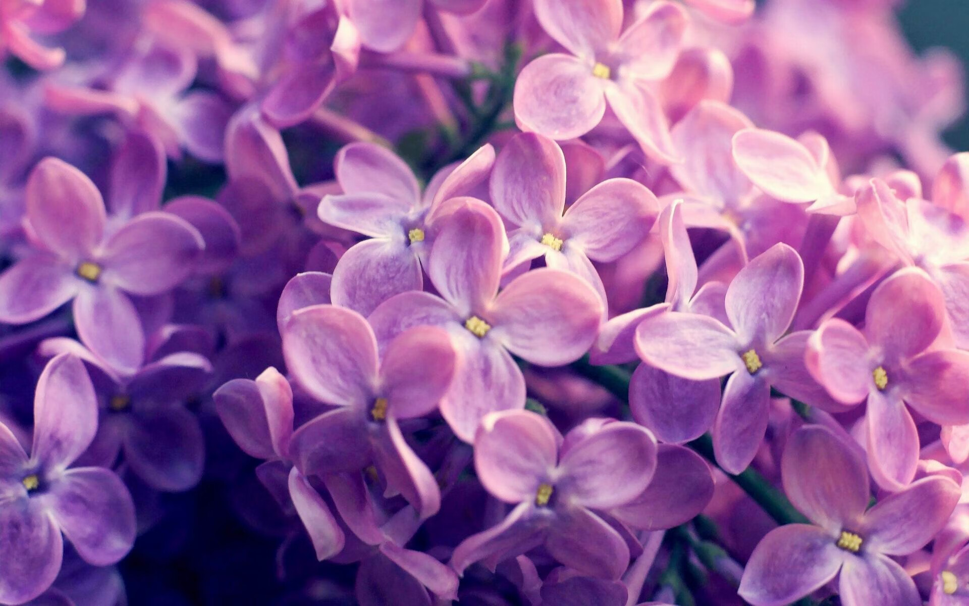 开云体育官网登入-中超比赛中断后控球再启动效率分析,中超控球最好的球队