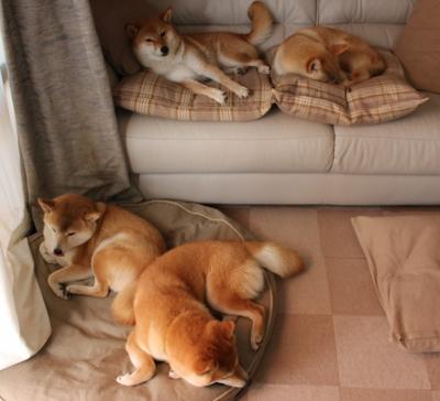 开云体育官网下载-中超比赛传控流畅度评分模型,中超比赛传控流畅度评分模型有哪些