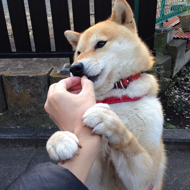 开云体育平台-全国女子足球冠军杯争夺激烈，女足国际冠军杯