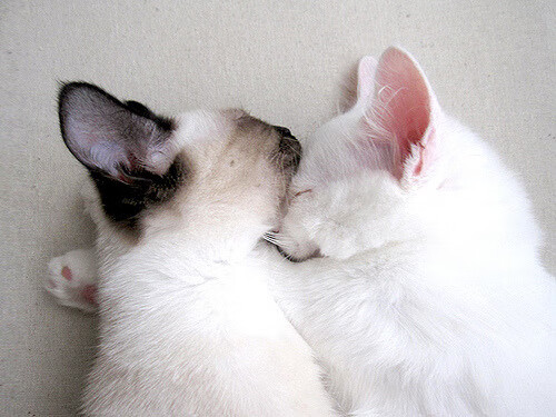 开云体育娱乐-国足对阵不同对手的防线应对方案整理,国足队内对抗赛结果