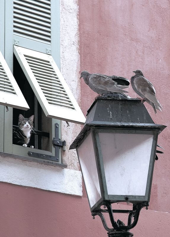 开运体育电脑版-新闻中心组织员工培训活动,开展新闻培训