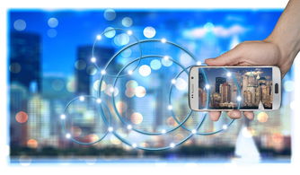 开运体育电脑版-高校运动训练科学化管理策略研究，高校运动训练科学化管理策略研究论文