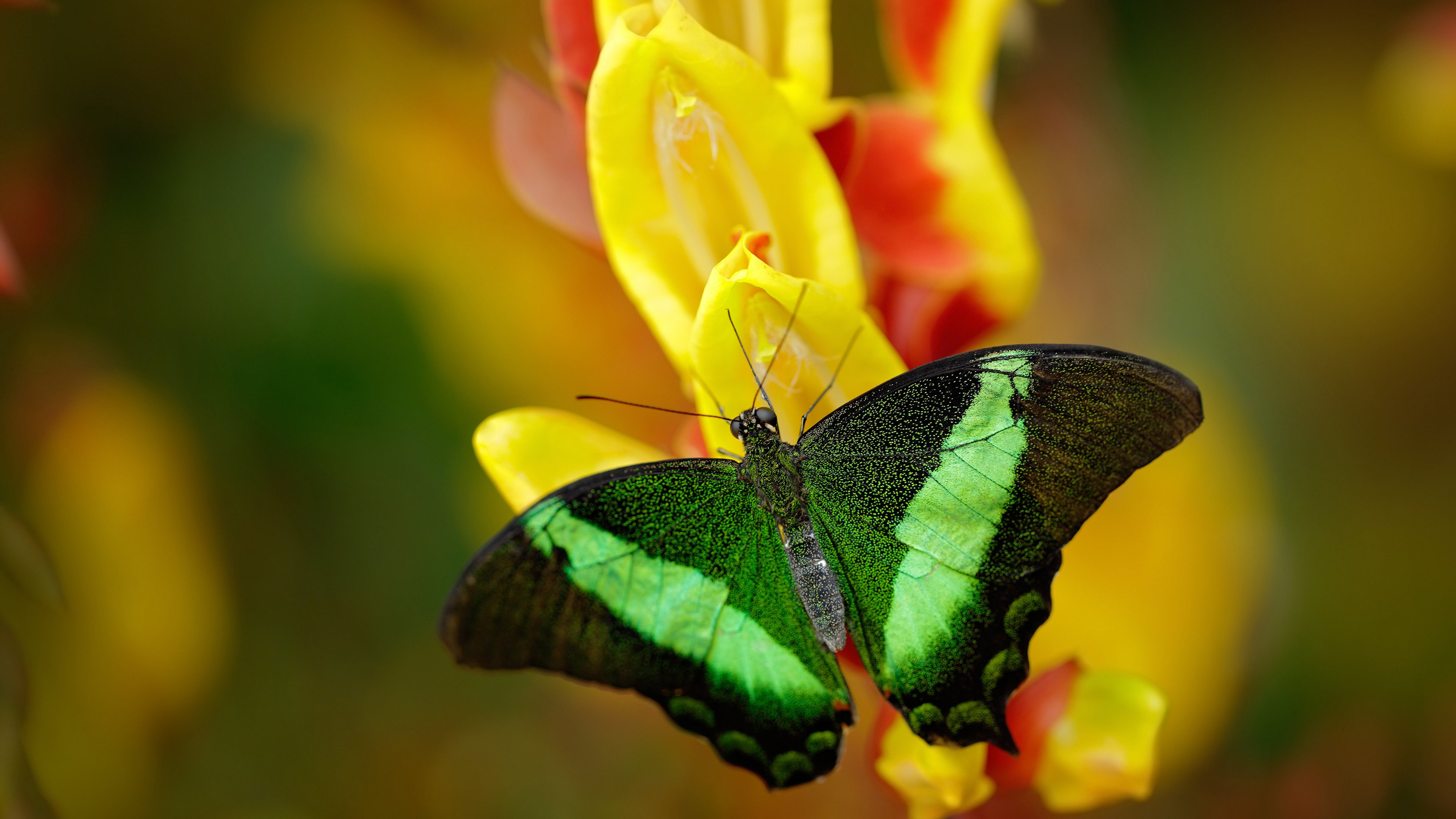 开云官网-出发反应时间成胜负关键