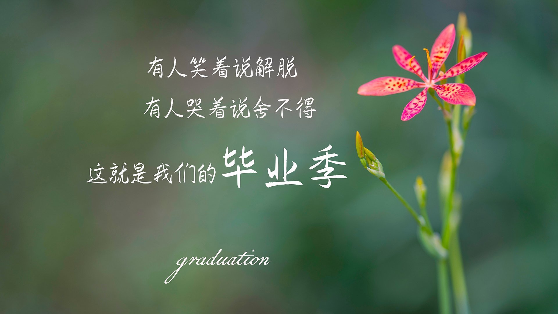 开云官网-出发反应时间成胜负关键