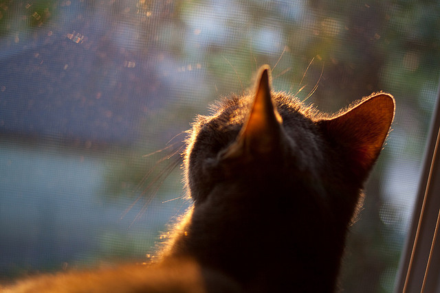 开云体育在线下载-后卫突破后是否应优先寻找外线射手,突破后卫适合什么鞋