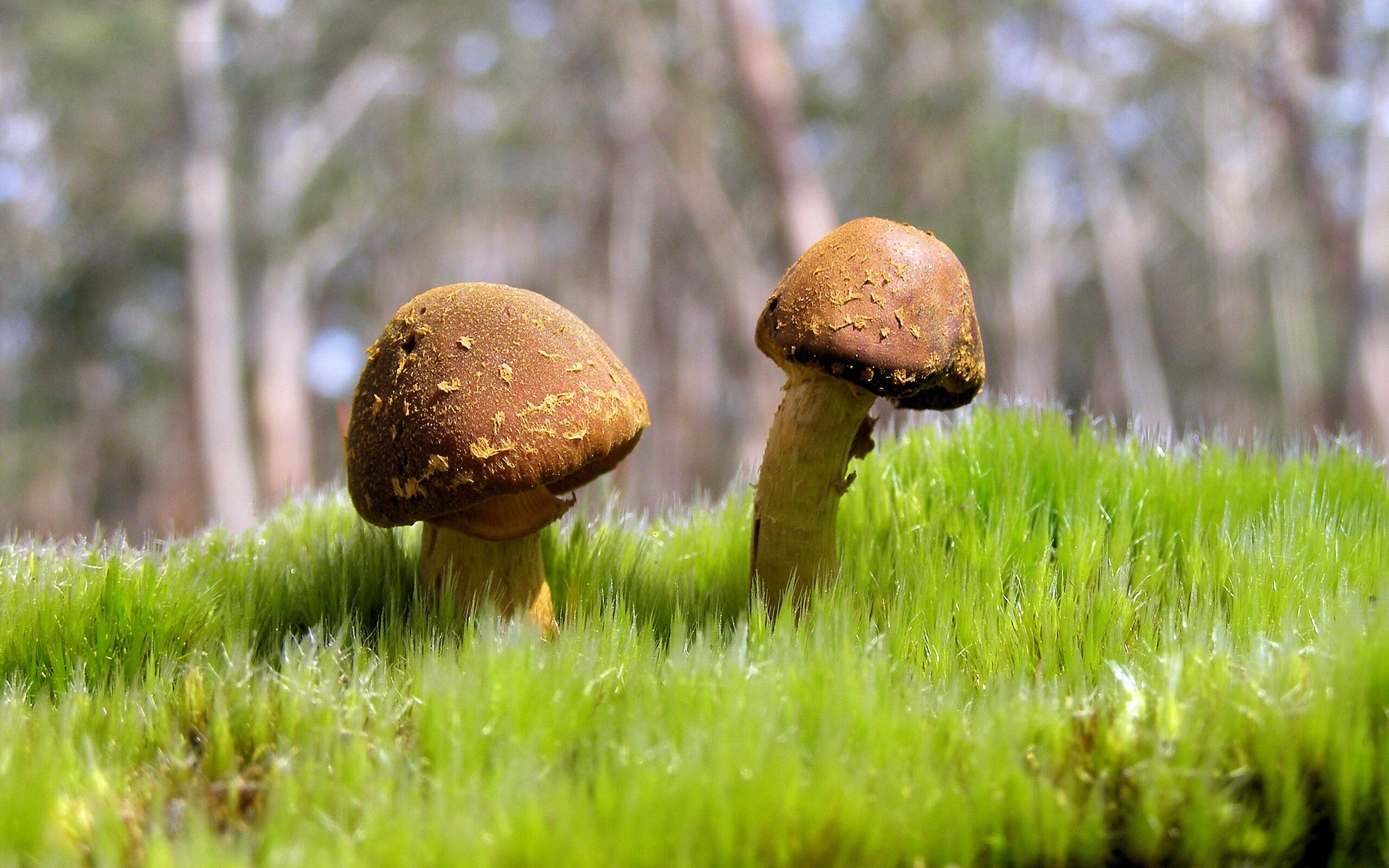 开云体育-海湾者后防表现坚韧,拼抢积极,海湾旅行者