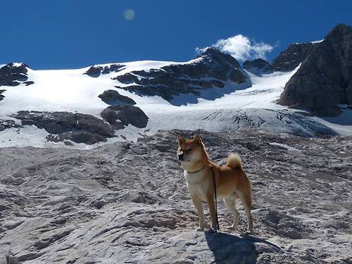 开云体育app注册-马术体验课走进小学课堂深受学生喜爱，马术课程内容