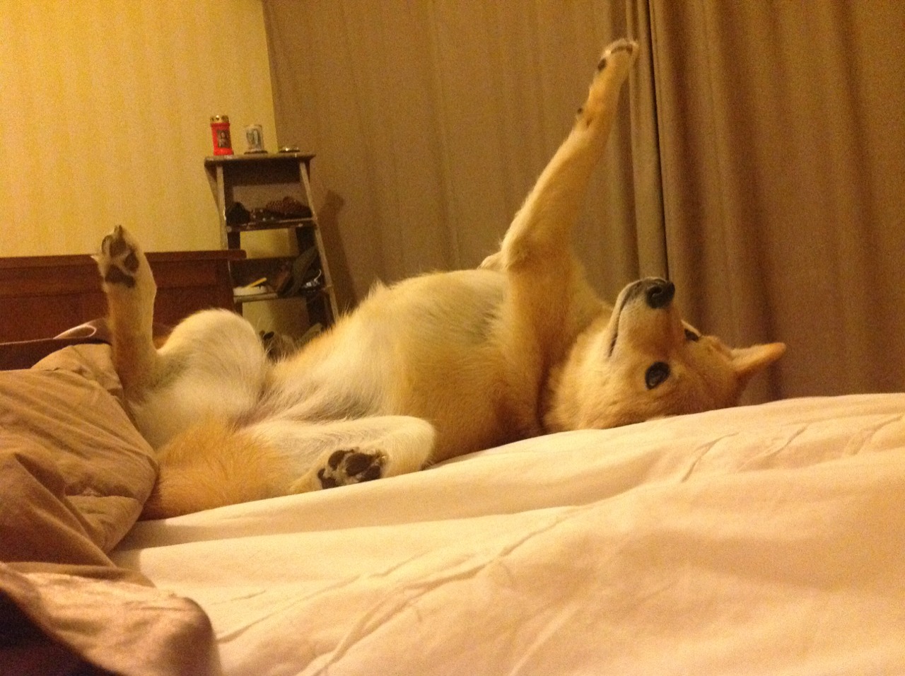 开云体育app下载-丁俊晖晒与偶像合影回忆青葱岁月，丁俊晖合照