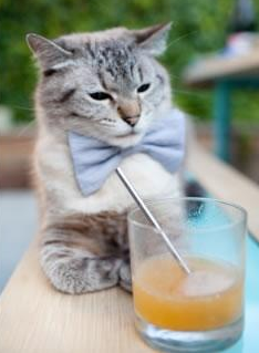 kaiyun开云体育-世界杯逆转传奇:激动人心的精彩瞬间!,世界杯首场逆转