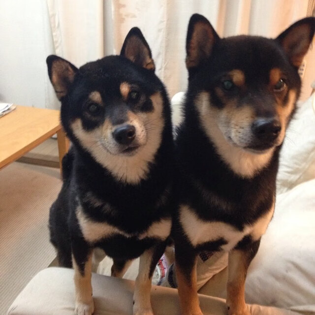 开云体育官网下载-中国女子接力队冲刺表现成夺牌关键,中国女子 接力