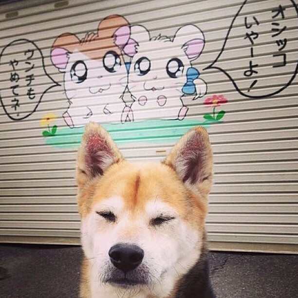 开云体育app注册-中国男篮积极备战亚洲杯强化实战演练，中国男篮征战亚洲杯