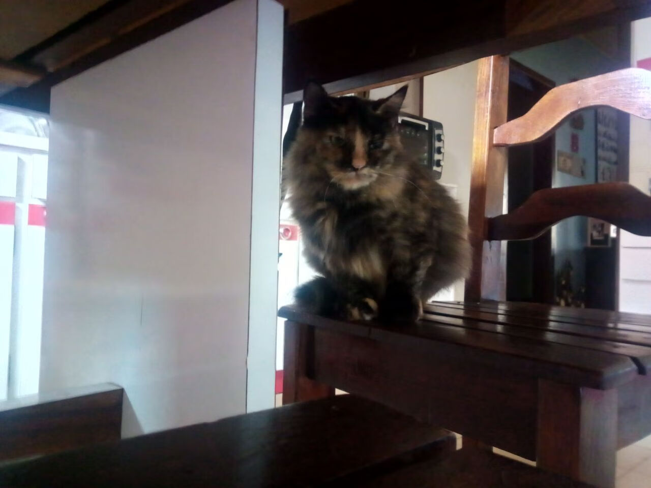 开云体育足球-中国足球联赛激发更多球迷热情,问一下中国足球