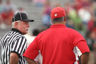 开云体育在线官网-中甲联赛在整体体系中的定位，中甲联赛赛制