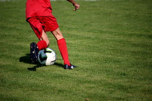 开云体育在线官网-中甲联赛在整体体系中的定位,中甲联赛赛制